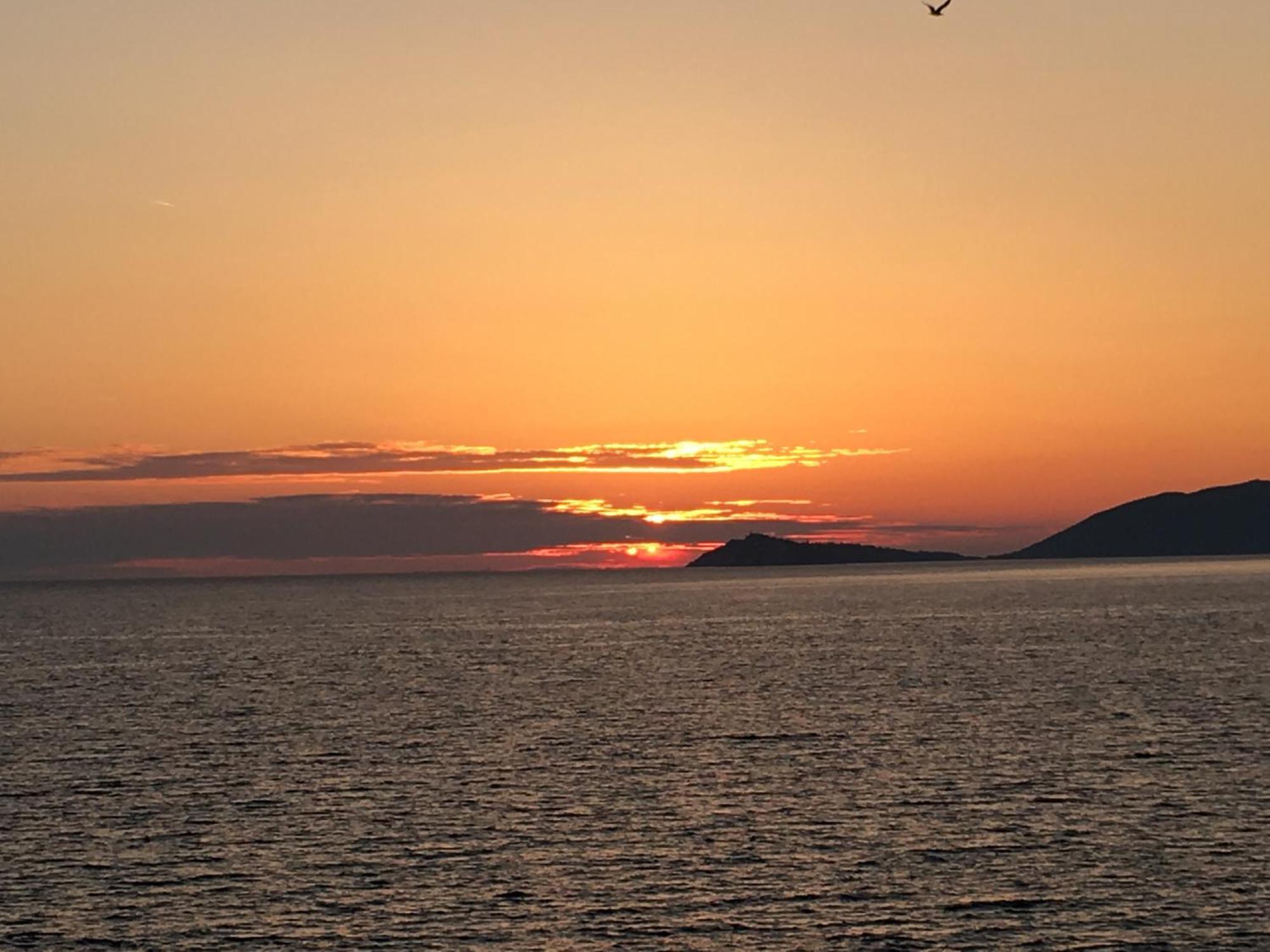 Villa Ariel Luštica Eksteriør bilde